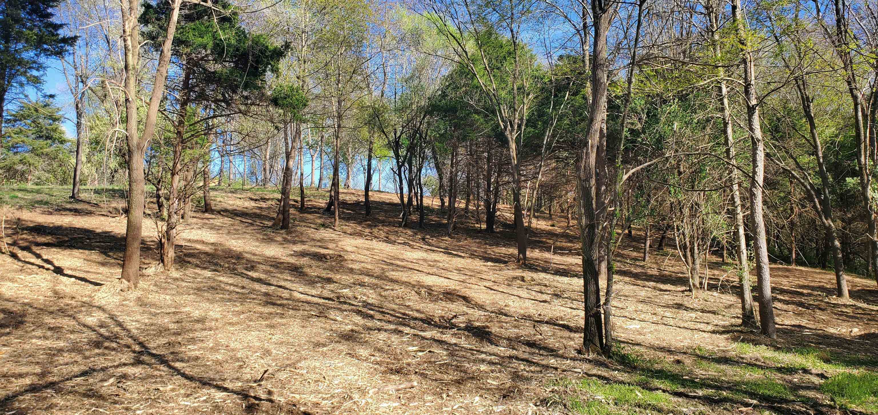 12-crown Ridge Berry Farm Road Verona, VA 24482 - Photo 7 of 47 a view of a backyard of the house