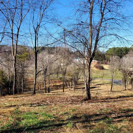 a view of park with large trees