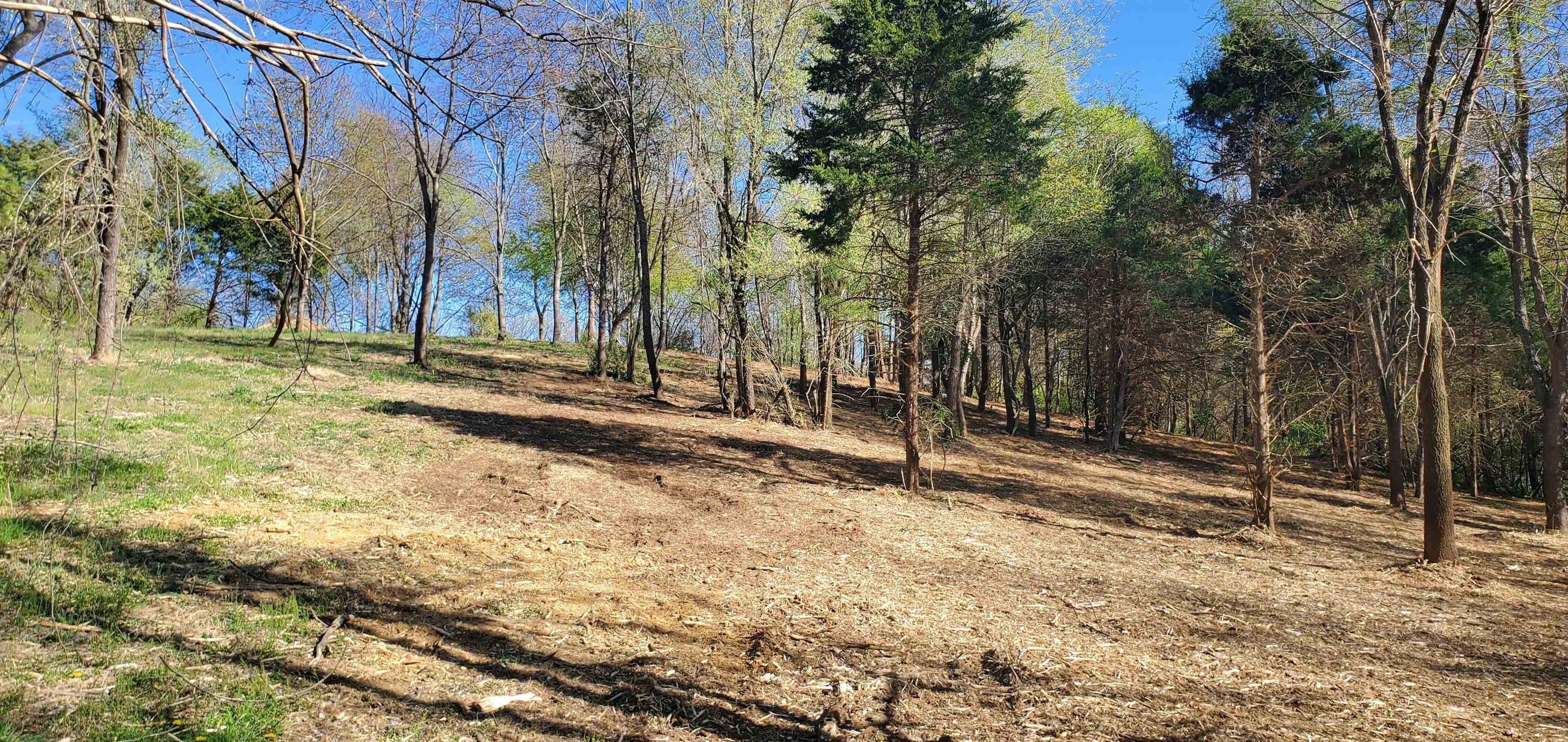 12-crown Ridge Berry Farm Road Verona, VA 24482 - Photo 9 of 47 a view of a yard with trees
