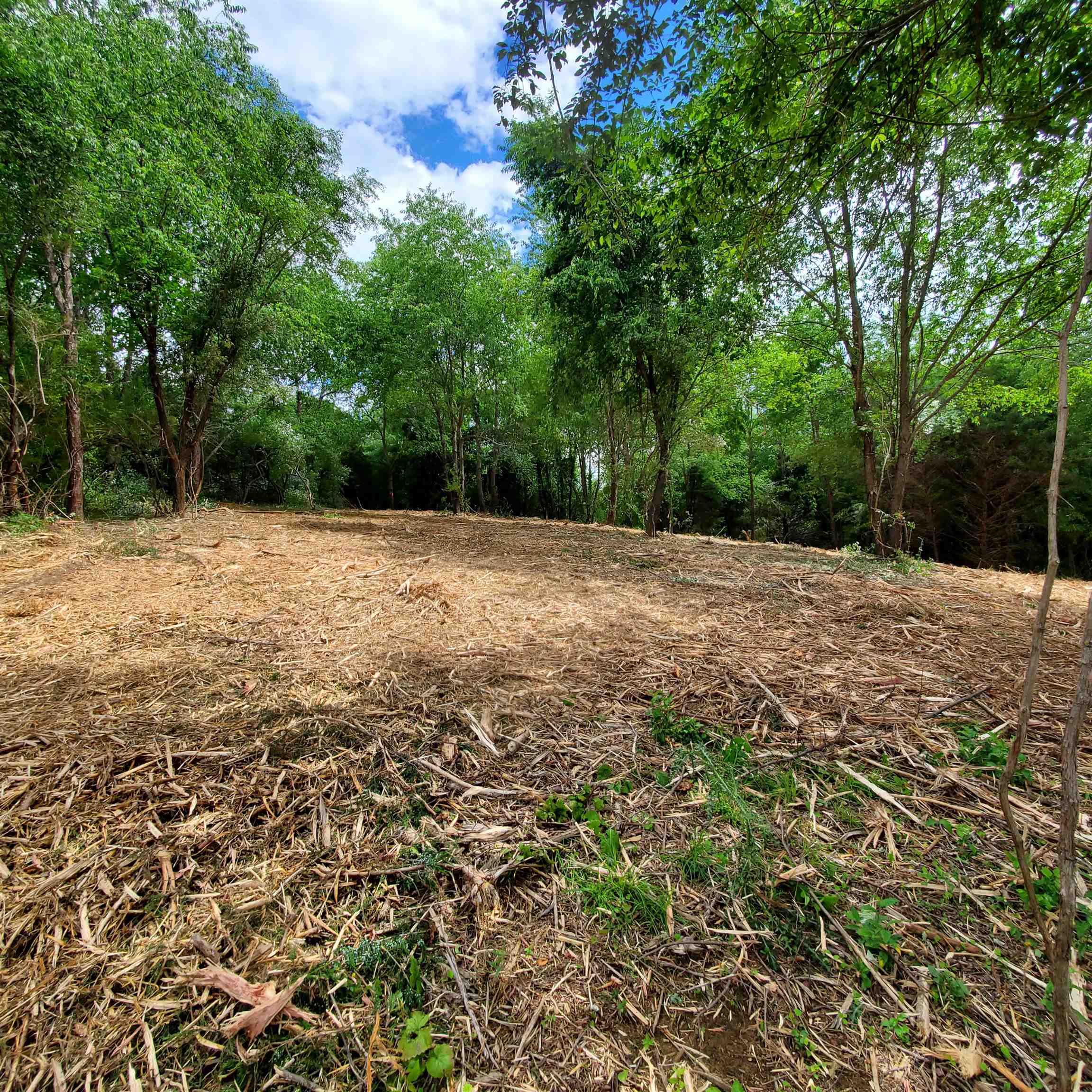 12-crown Ridge Berry Farm Road Verona, VA 24482 - Photo 10 of 47 a backyard of a house with lots of green space