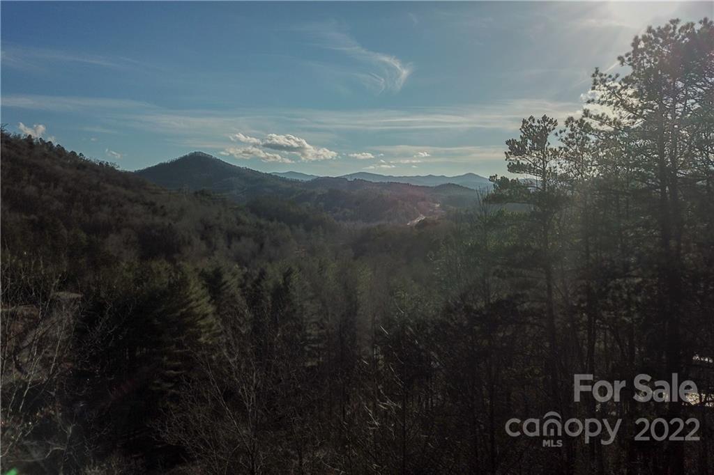 1218 Fox Run Road Bryson City, NC 28713 - Photo 4 of 41 Gallery Image 4