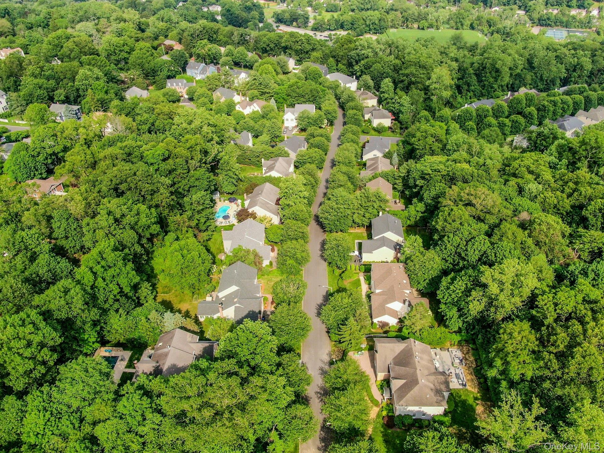 134 Euclid Avenue Ardsley, NY 10502 - Photo 48 of 48 Ardsley Estates neighborhood