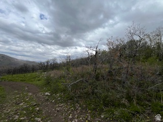 144 West Bear Tooth Ridge Coalville, UT 84017 - Photo 18 of 19 Natural landscape featuring varied terrain, existing foliage, and distant mountain forms