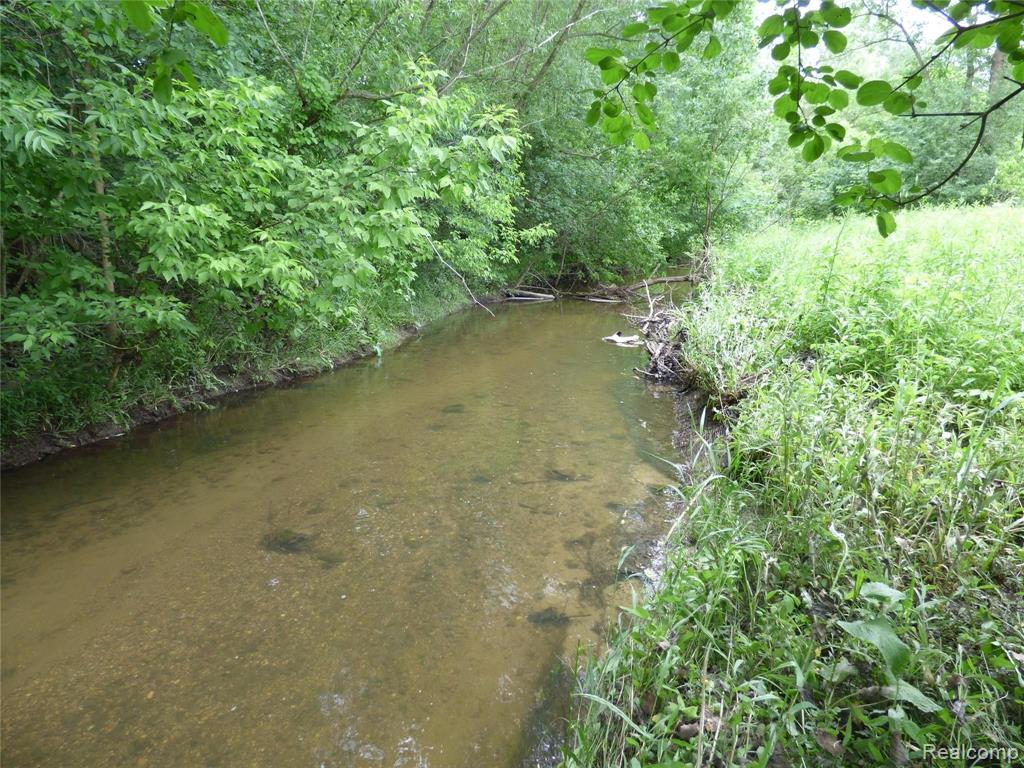 21104 Gill Road Farmington Hills, MI 48335 - Photo 9 of 17