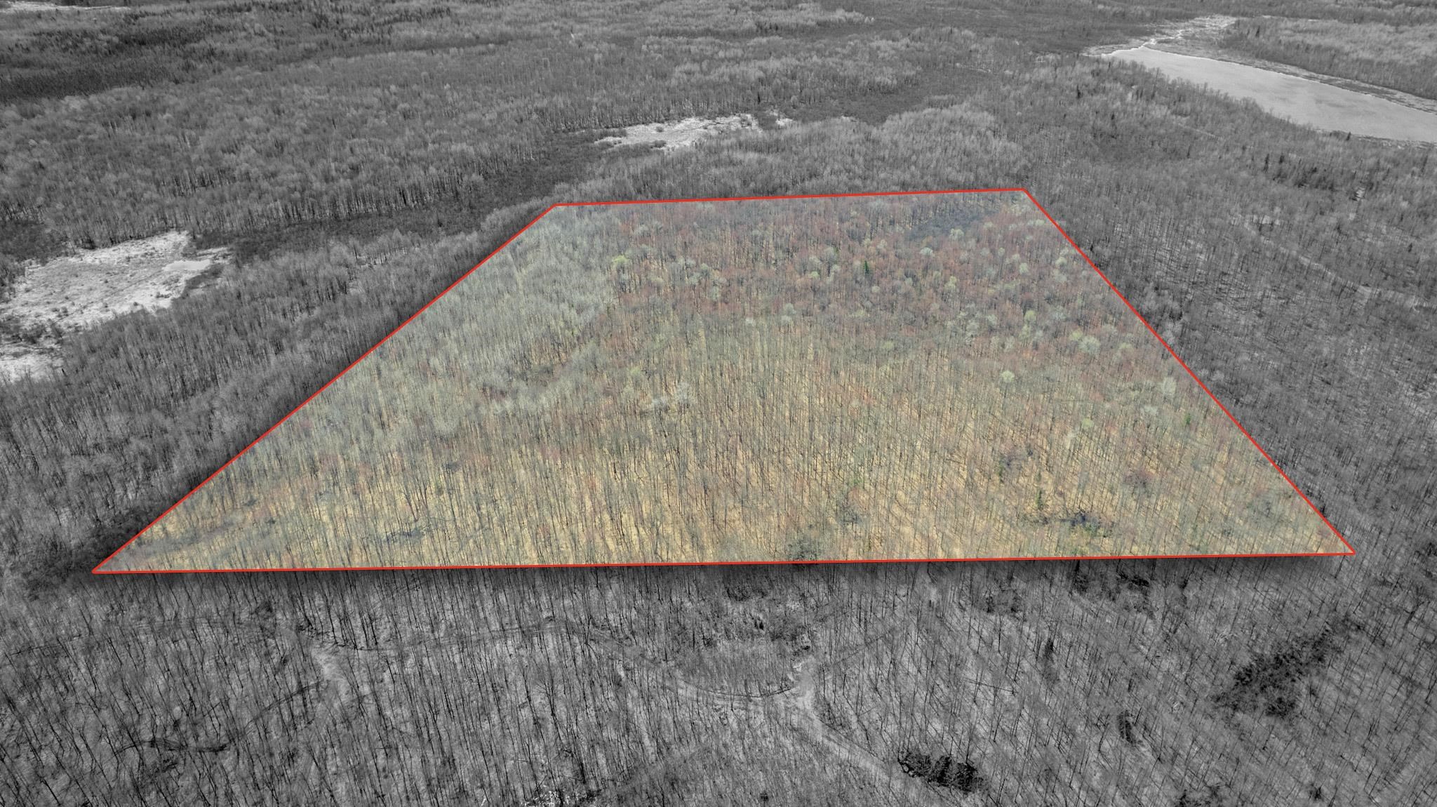 N4587 Lustila Road Brantwood, WI 54513 - Photo 29 of 34