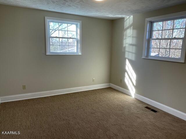 1611 Snapp Road Sevierville, TN 37862 - Photo 12 of 24 IMG_5043