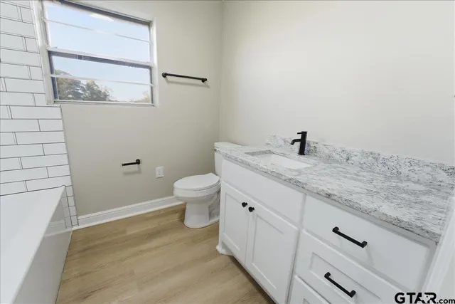 a view of a forest that has a tree