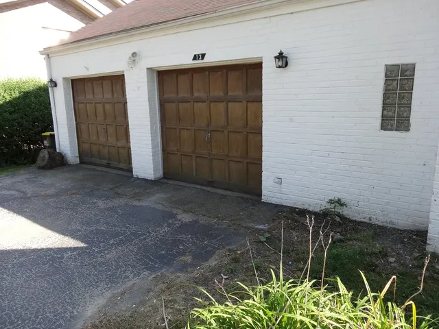 a view of backyard with potted plants