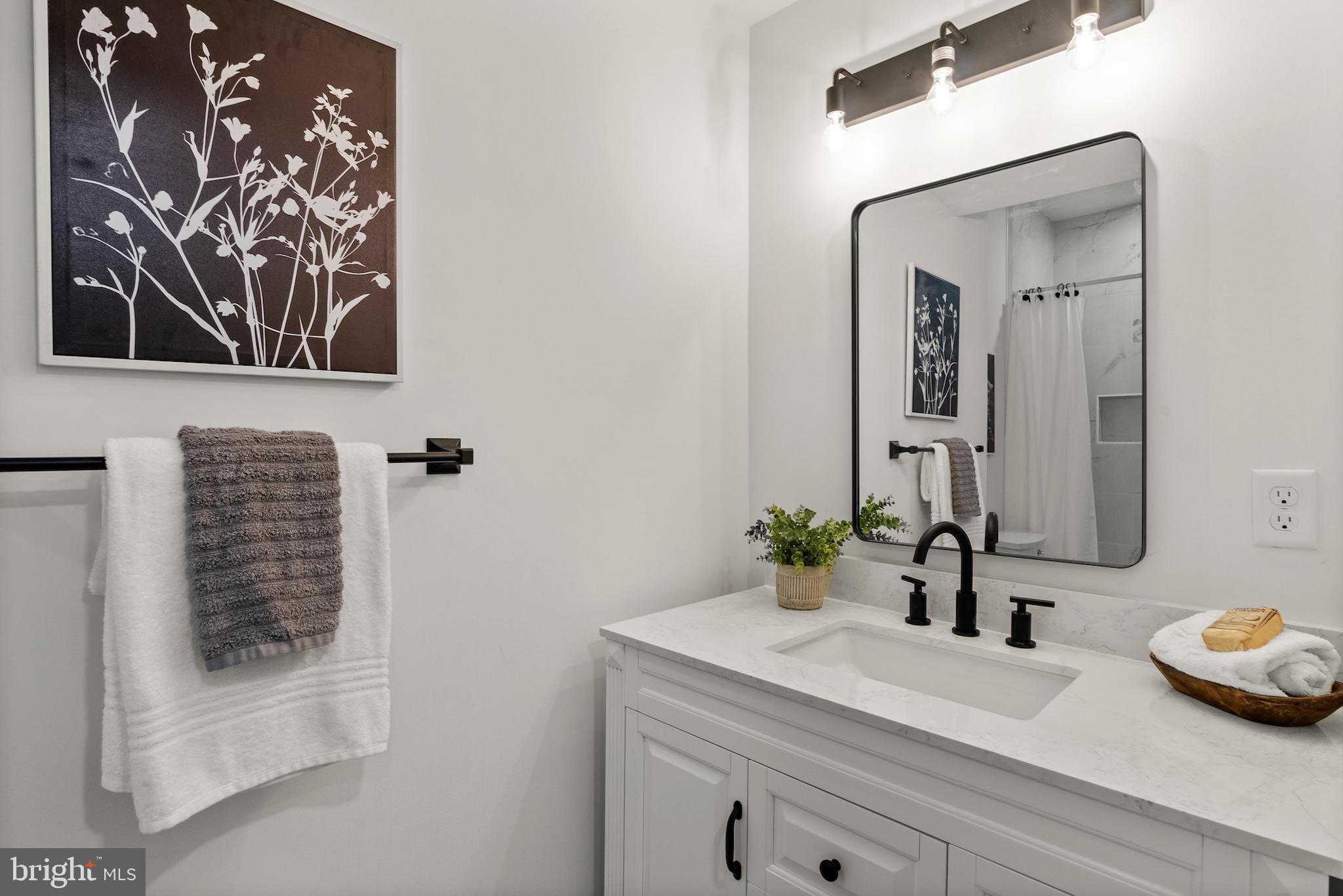 1523 Clarkson Street Baltimore, MD 21230 - Photo 36 of 57 a bathroom with a sink and a mirror