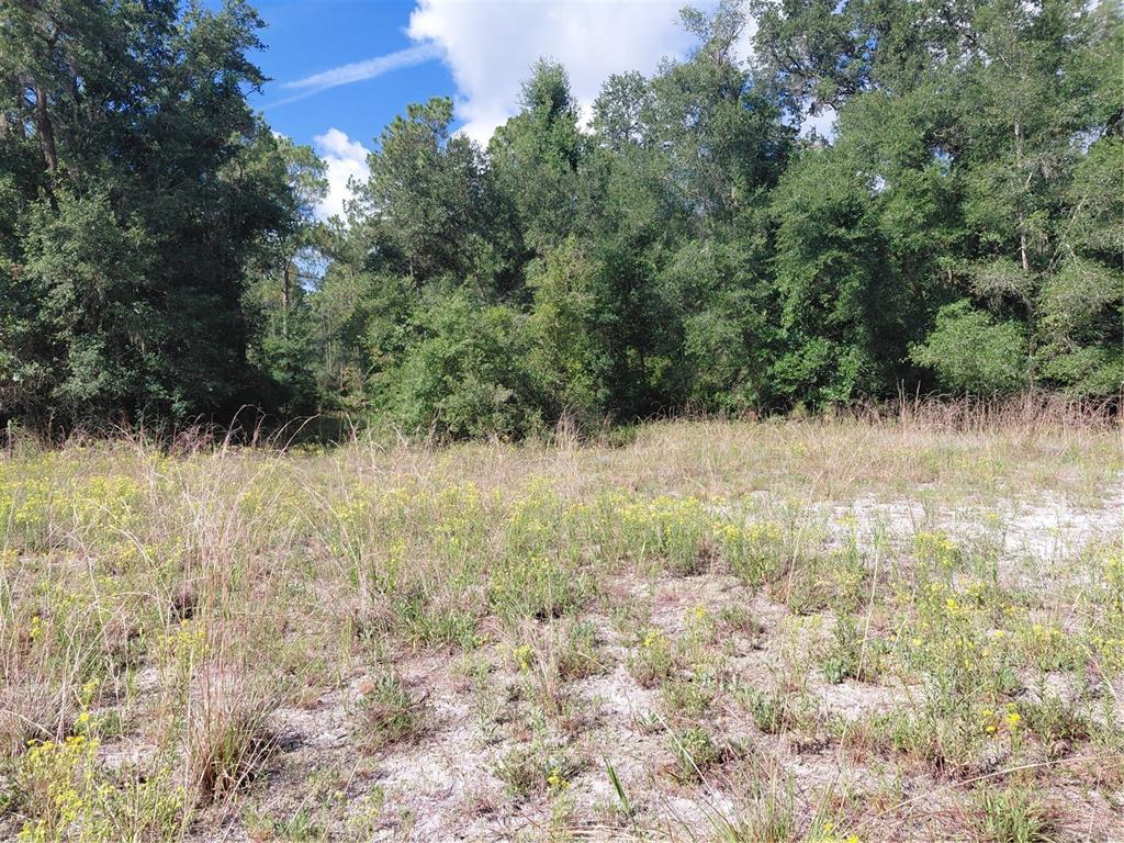 Pinon Drive Webster, FL 33597 - Photo 17 of 19
