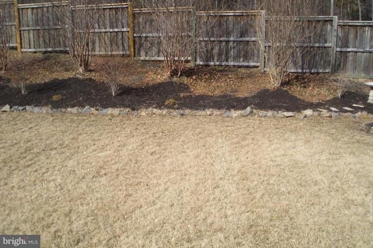 42722 Middle Ridge Place Broadlands, VA 20148 - Photo 17 of 20 Back yard
