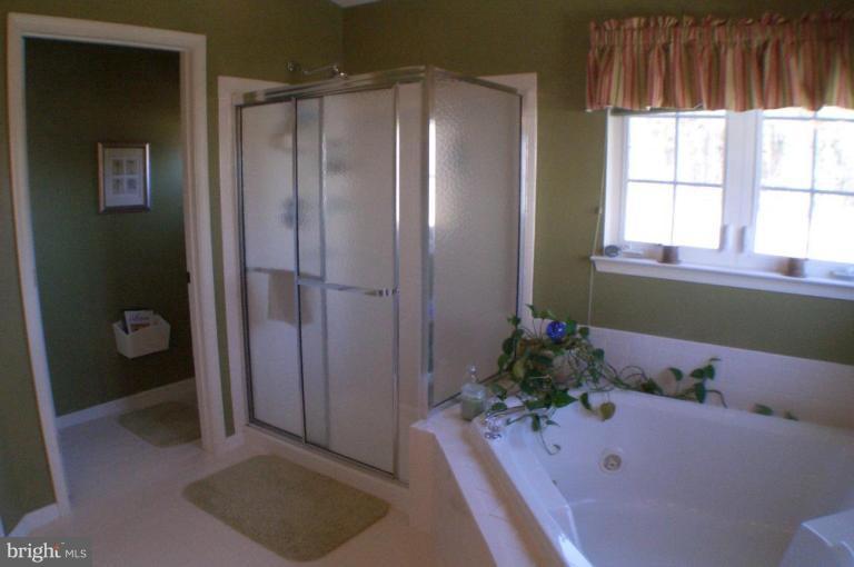 42722 Middle Ridge Place Broadlands, VA 20148 - Photo 19 of 20 Master Bedroom #2
