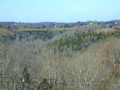 625 Maple Grove Road, Unit FARM Richmond, KY 40475 - Photo 11 of 11 Photo 11