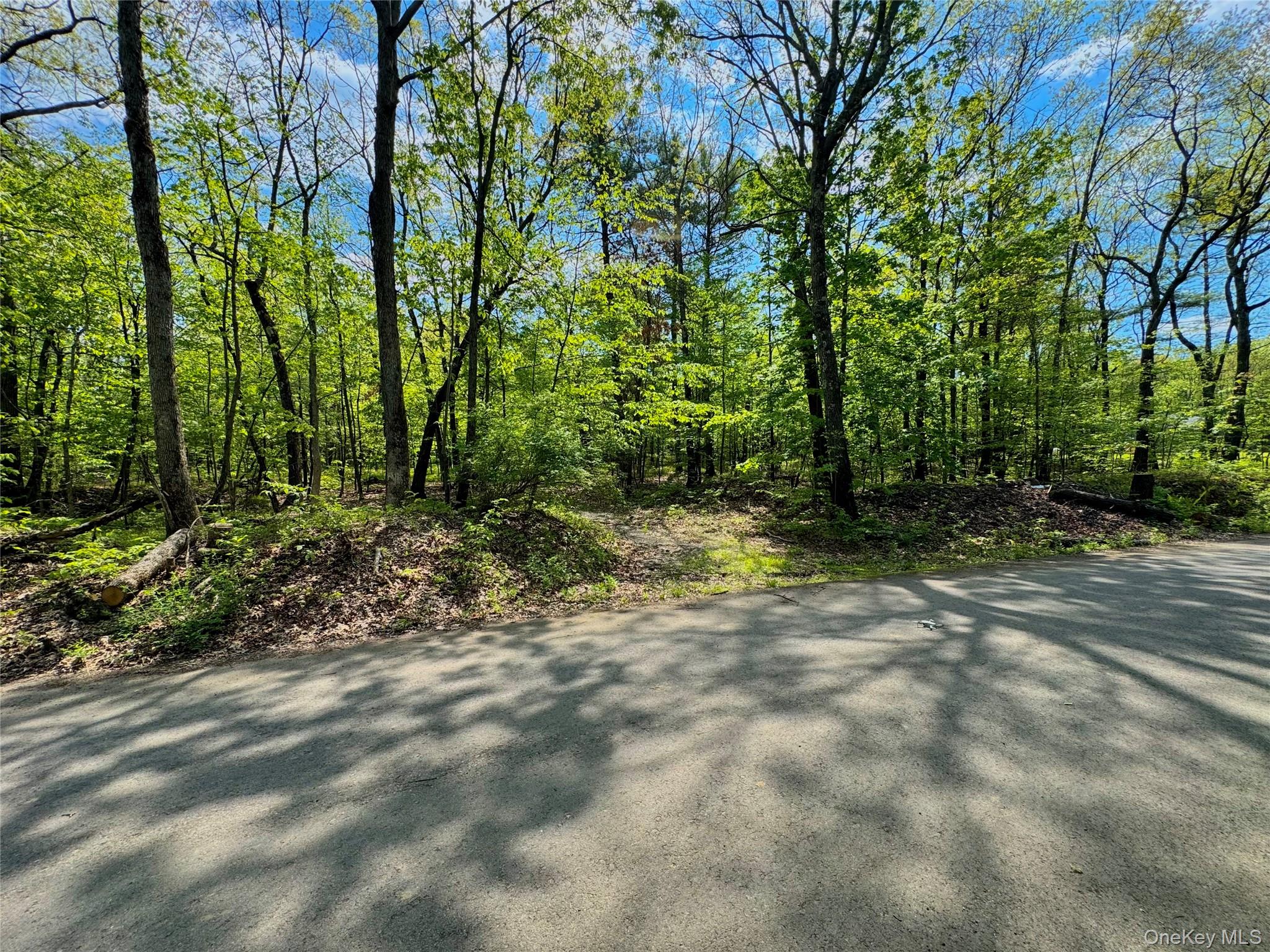 Tbd Bill Matter Road Climax, NY 12042 - Photo 17 of 19 a view of a yard with plants and trees