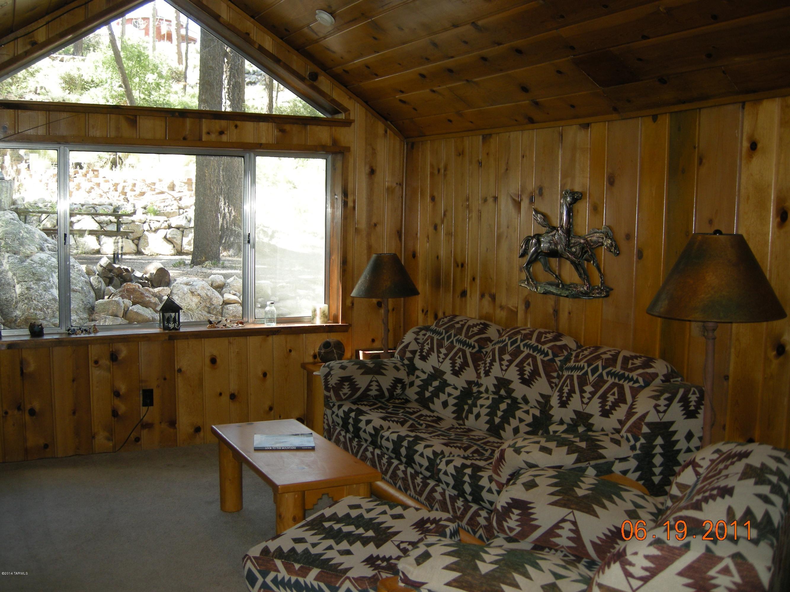 11207 East Carter Canyon Road Mount Lemmon, AZ 85619 - Photo 7 of 18