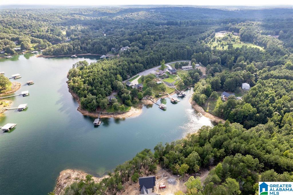 Lot A Camp Jimmy Goodwin Road, Unit LOT A Jasper, AL 35503 - Photo 4 of 13