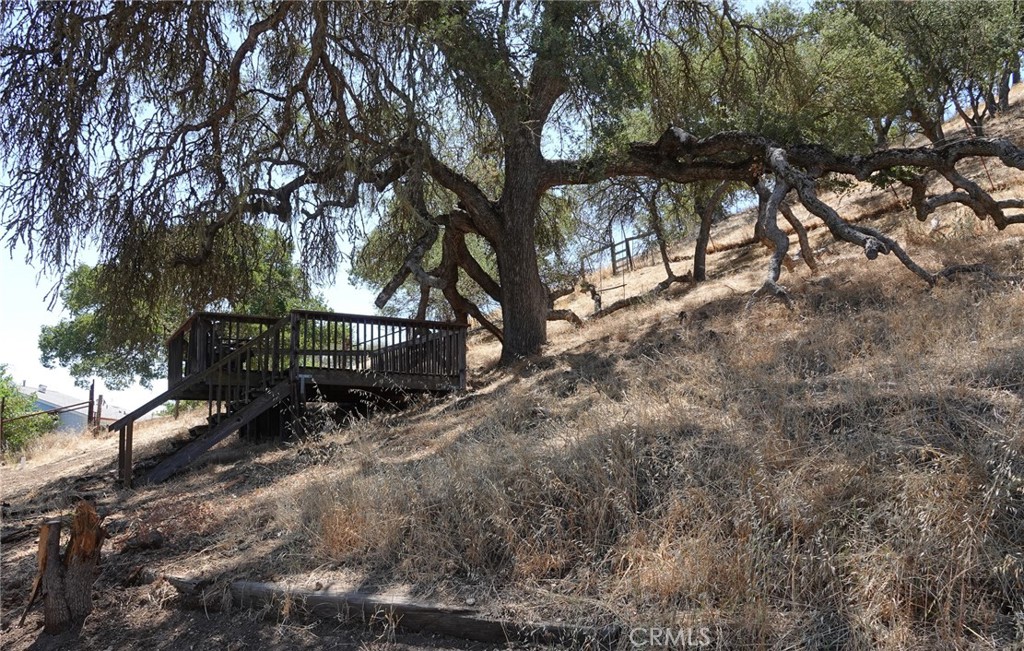 7950 Blue Moon Road Paso Robles, CA 93446 - Photo 23 of 26 Needs tender loving care or tear it down.