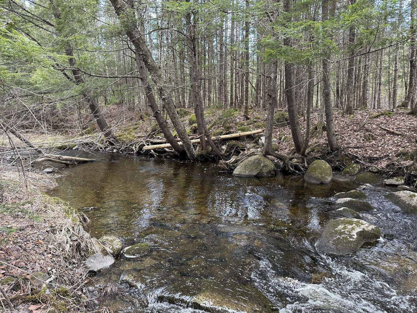 M9-l39 Mainstream Road Harmony, ME 04942 - Photo 20 of 22 IMG_3799_result