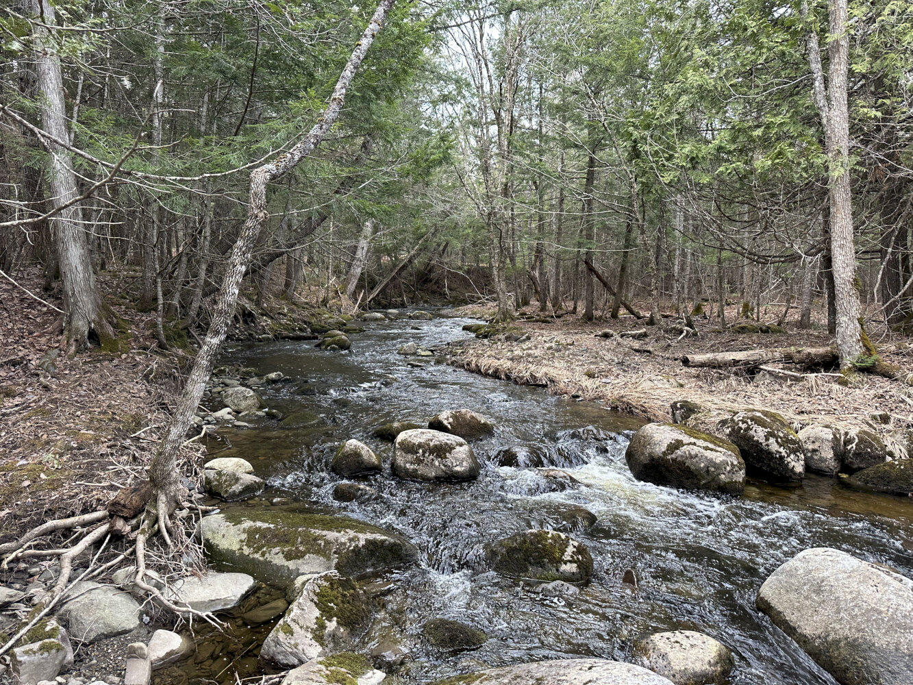 M9-l39 Mainstream Road Harmony, ME 04942 - Photo 21 of 22 IMG_3800_result