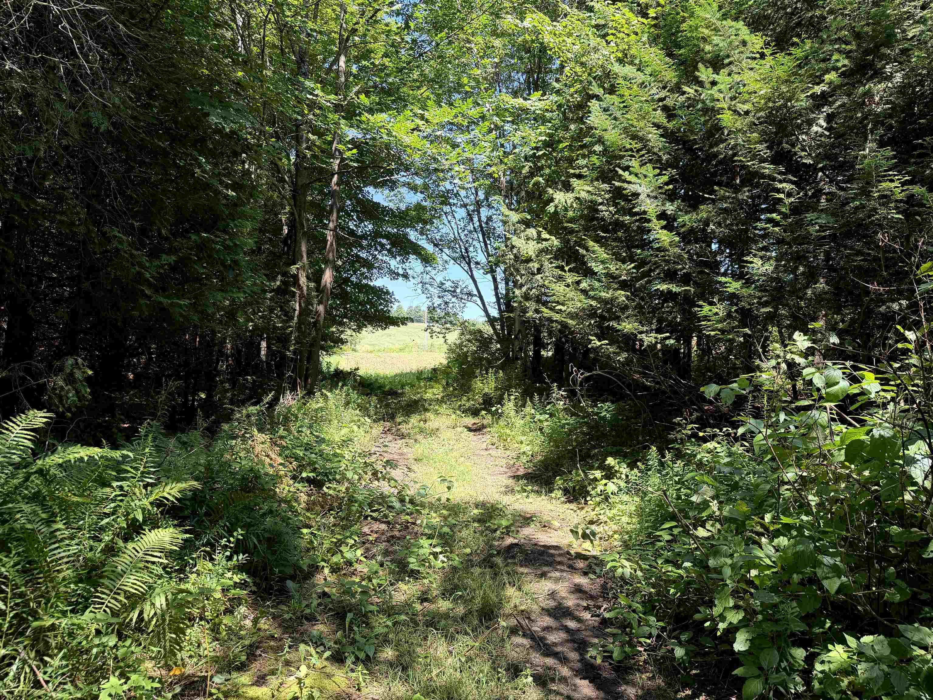 3329 Bates Hill Road Derby, VT 05829 - Photo 13 of 41 Gallery Image 13