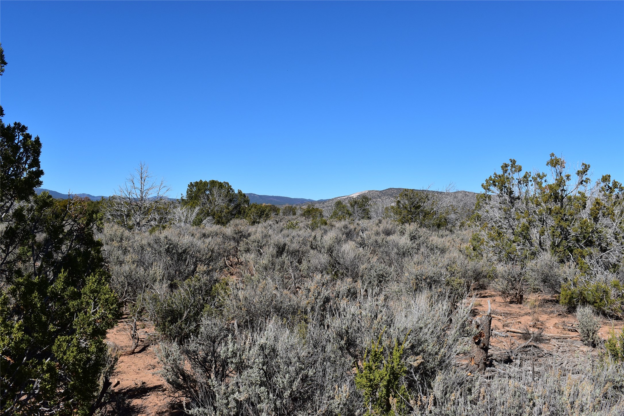 1684 A El Rito, NM 87530 - Photo 3 of 8