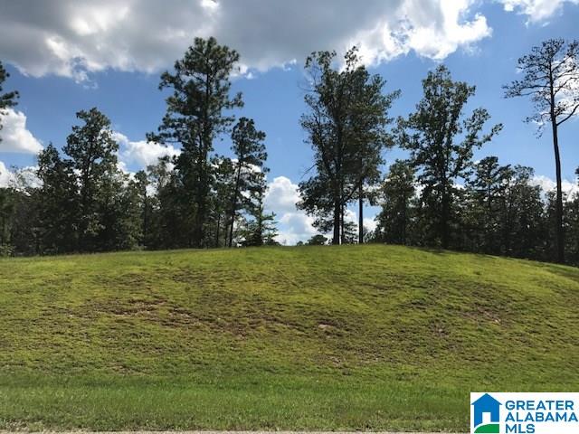 Lot 7 A Mcmahon Highland Road, Unit 7A Calera, AL 35040 - Photo 3 of 6