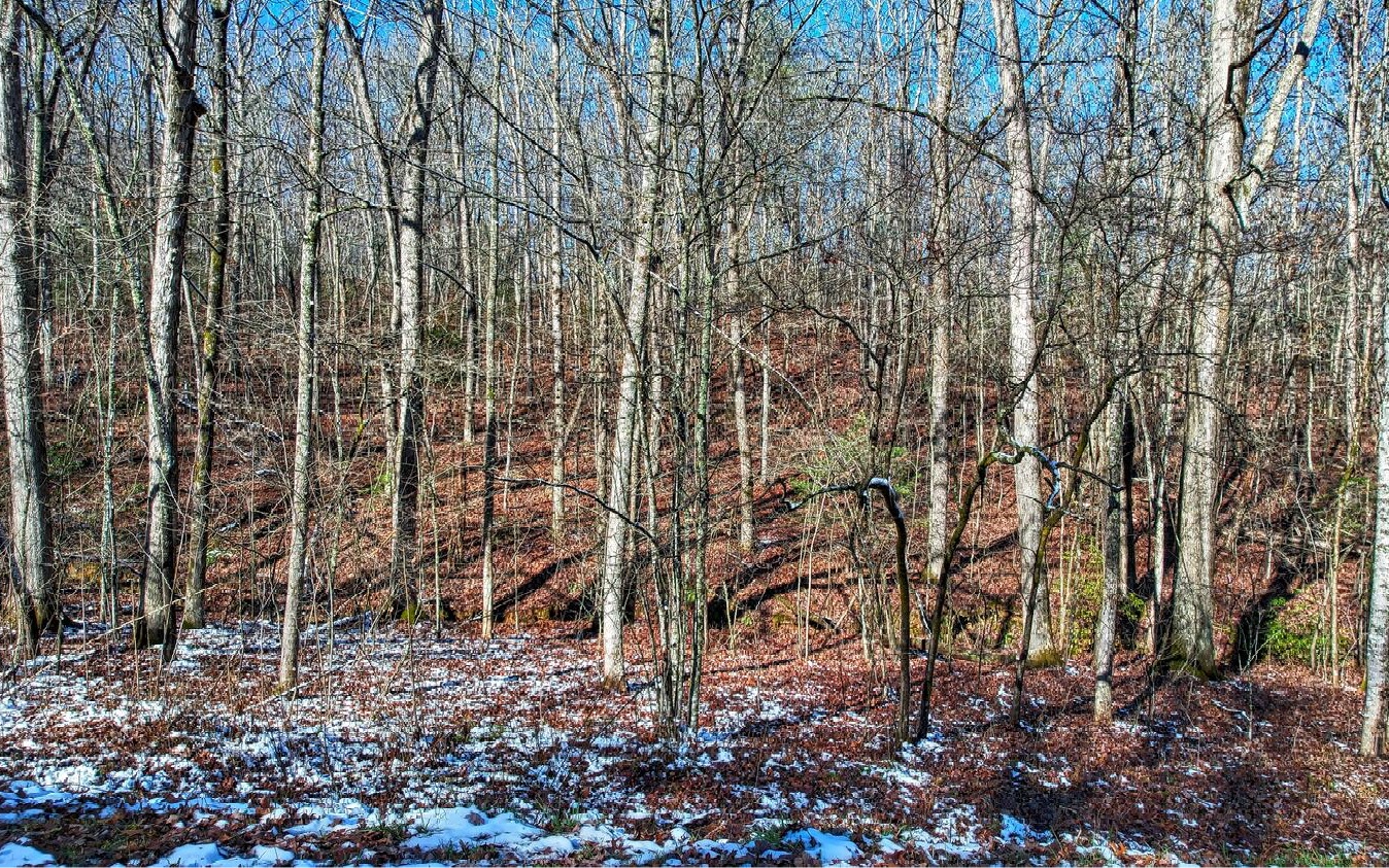 A Dills Road Blue Ridge, GA 30513 - Photo 2 of 4 Additional View
