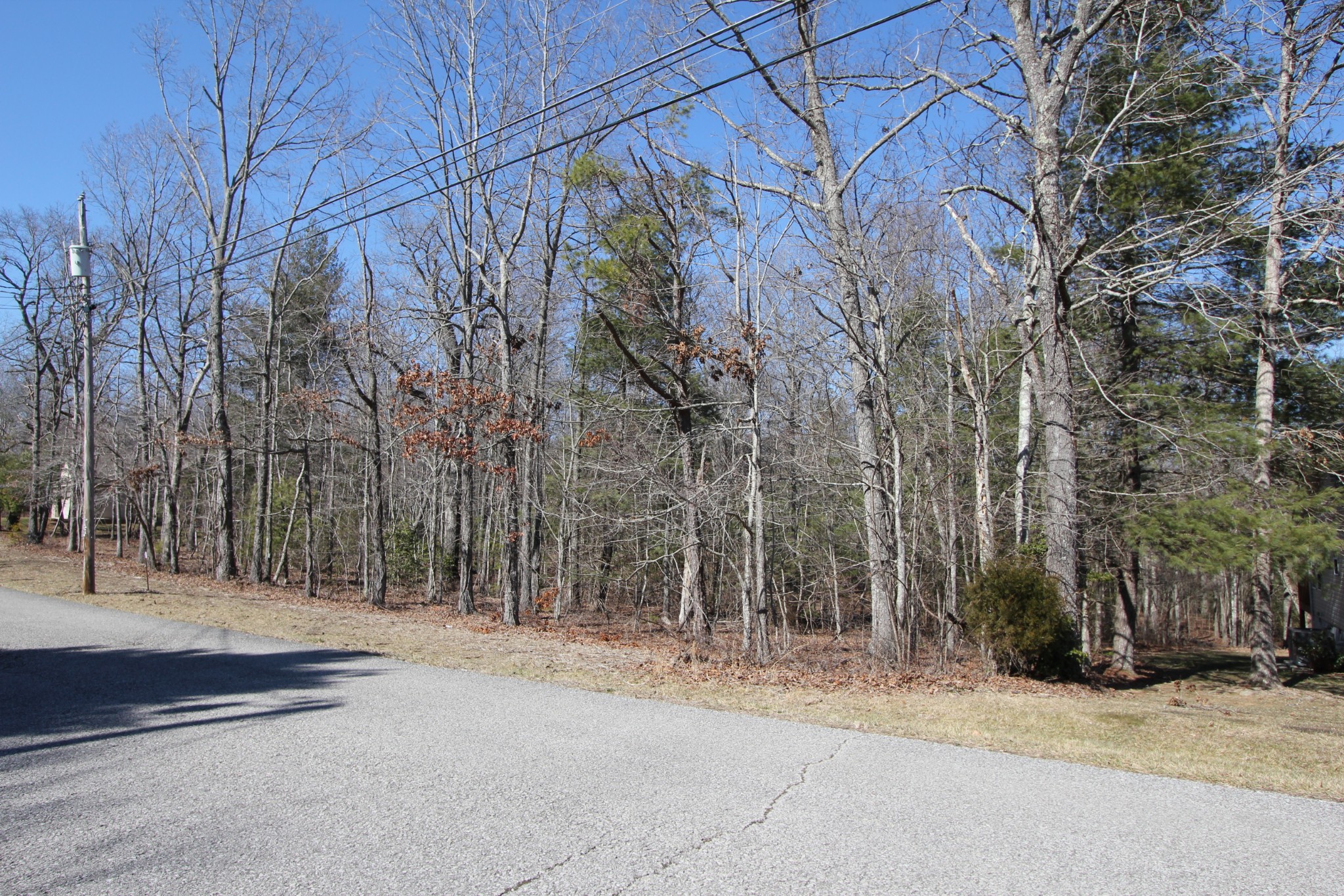 123 Windsor Road Crossville, TN 38558 - Photo 6 of 11 Gallery Image 6