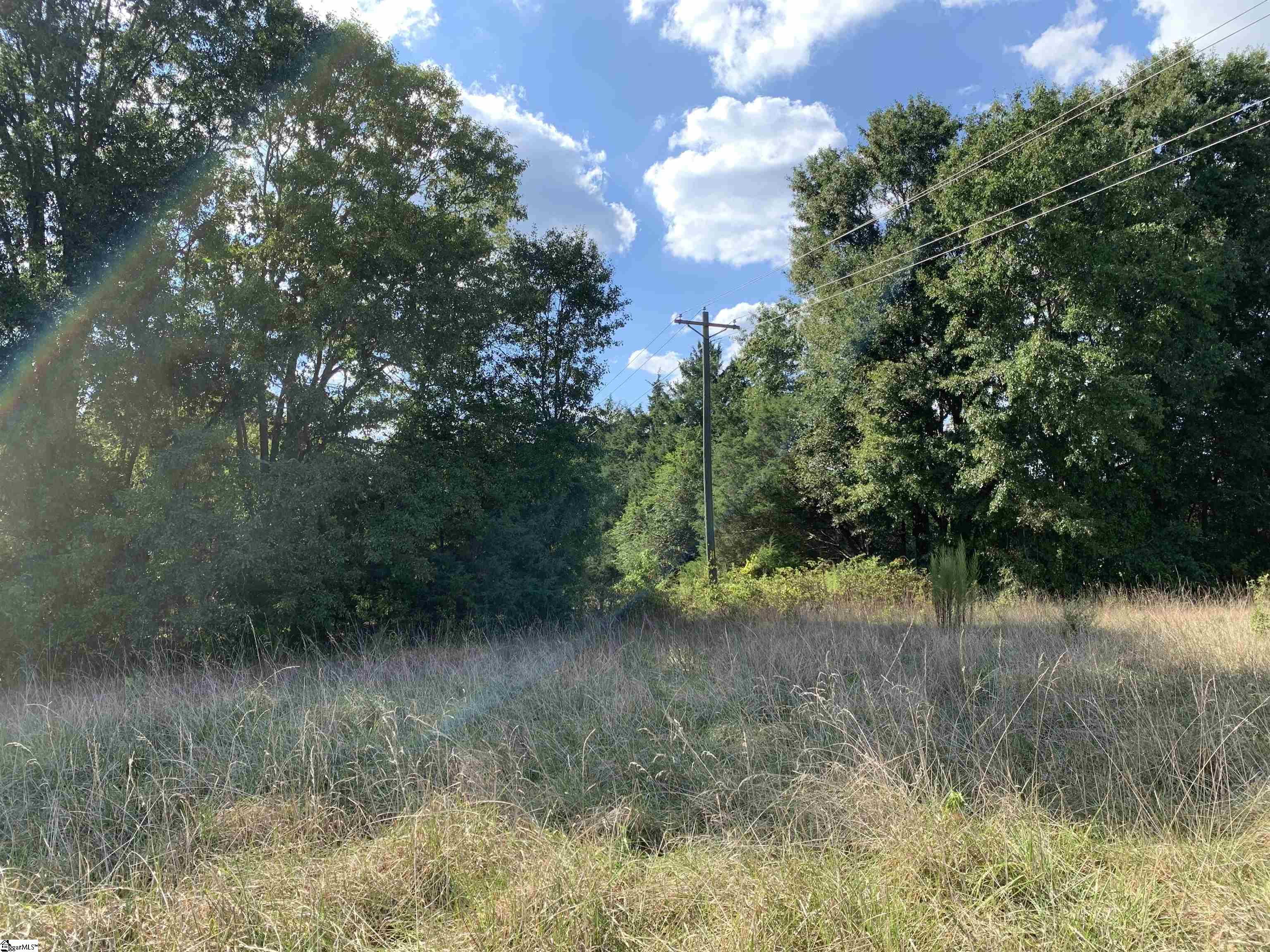 430 Greenpond Road, Unit TRACT 2 Fountain Inn, SC 29644 - Photo 5 of 6