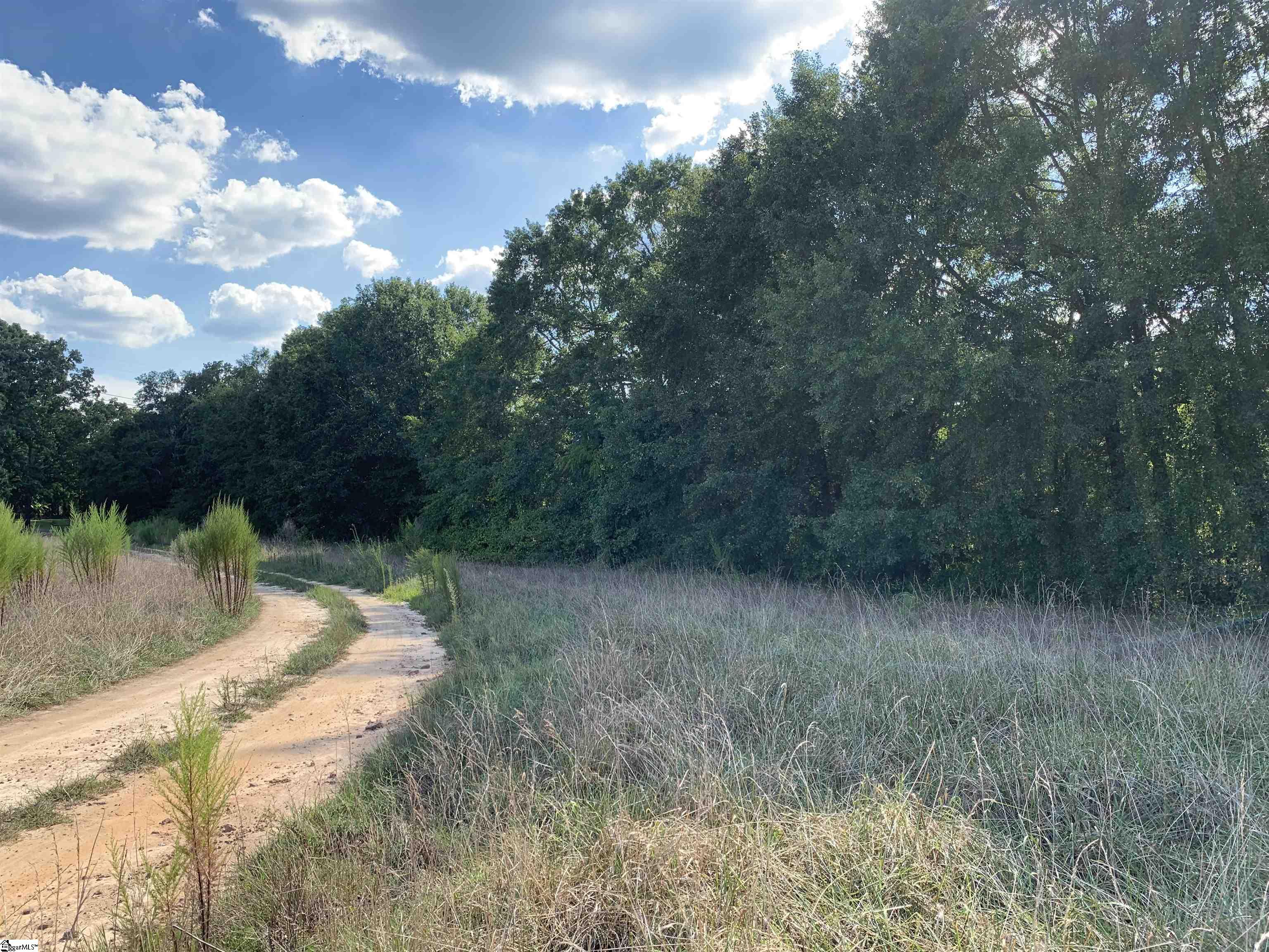 430 Greenpond Road, Unit TRACT 2 Fountain Inn, SC 29644 - Photo 6 of 6