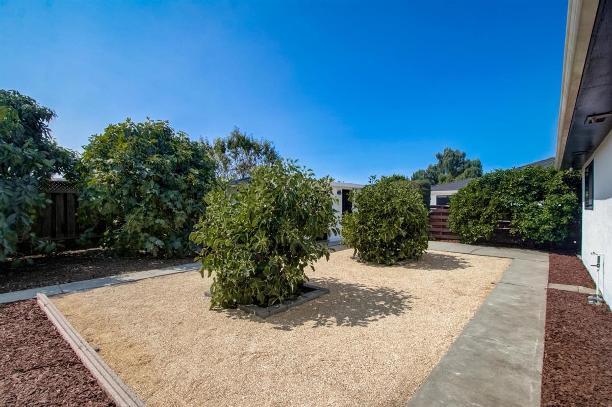 38061 Blacow Road Fremont, CA 94536 - Photo 52 of 65