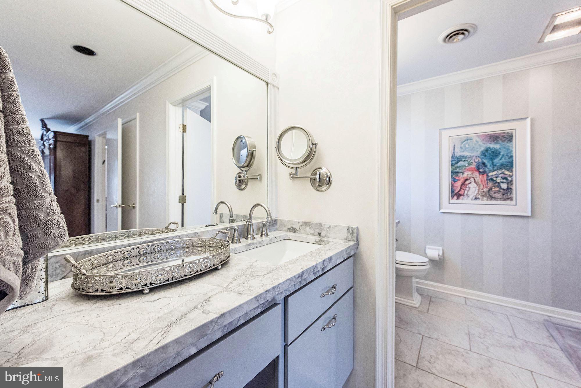 2123 Caves Road Owings Mills, MD 21117 - Photo 26 of 57 Primary Bathroom