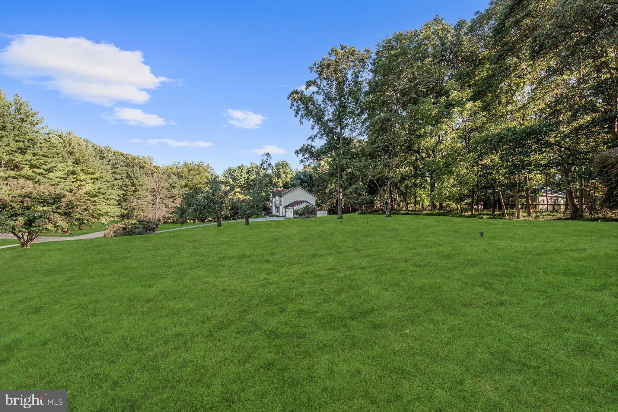 2123 Caves Road Owings Mills, MD 21117 - Photo 48 of 57 Rear Yard