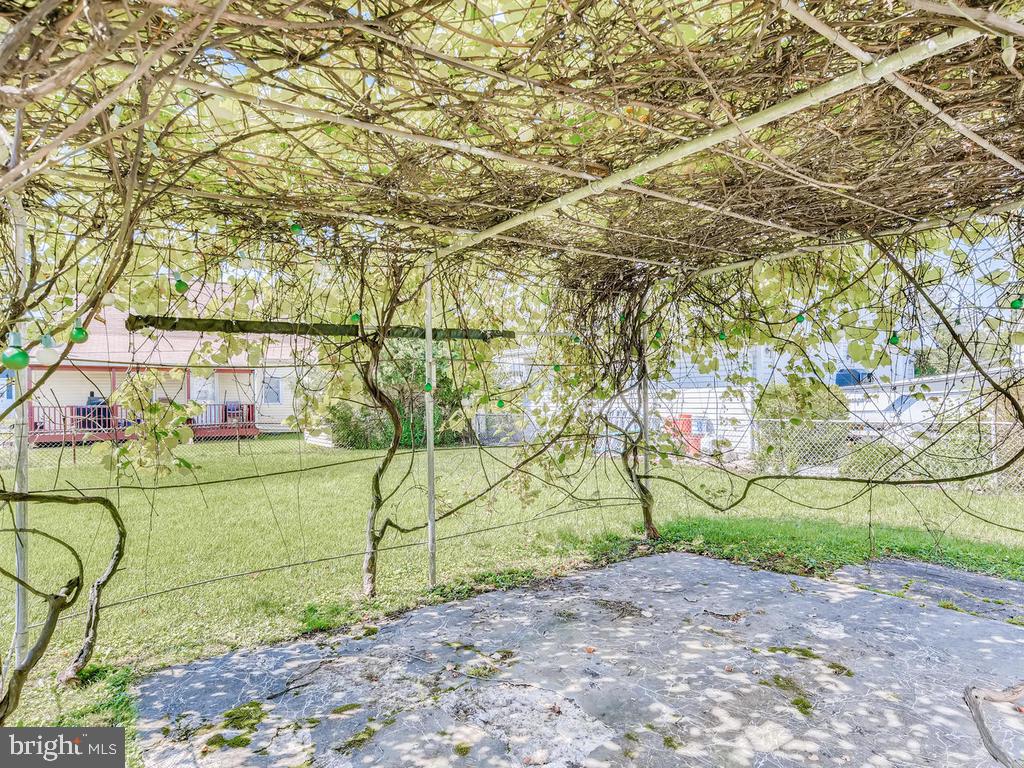 947 Woodlynn Road Baltimore, MD 21221 - Photo 34 of 36 Grapevine Trellis & Patio area