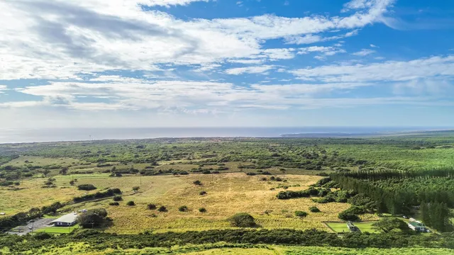 a view of city and ocean