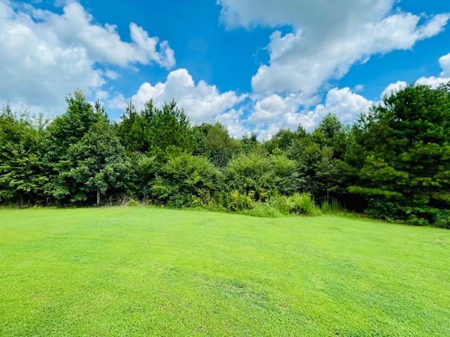 839 Greenbush Road LaFayette, GA 30728 - Photo 41 of 41 IMG_0497