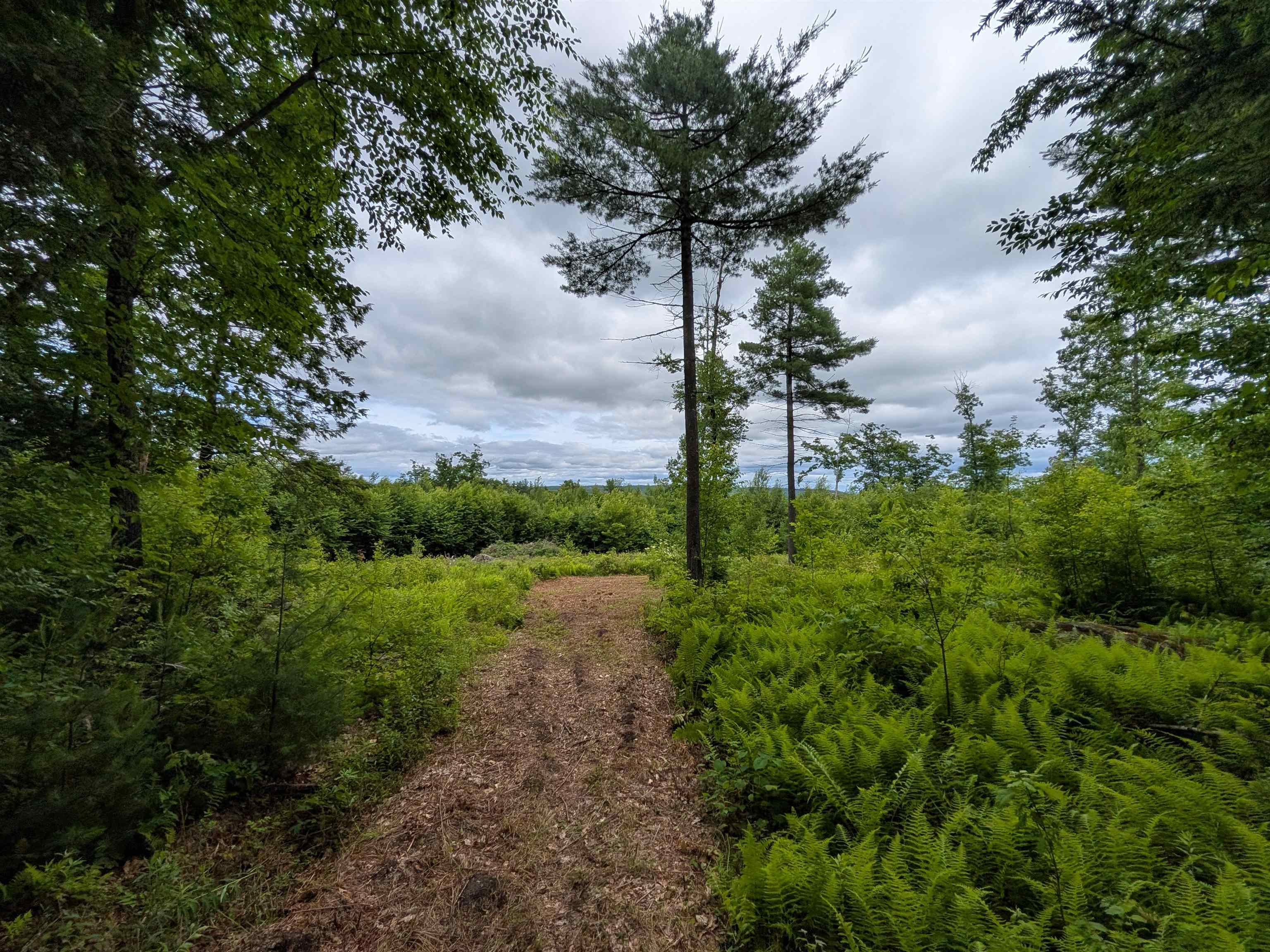 58-6-2 Duggin Road Wilton, NH 03086 - Photo 2 of 14