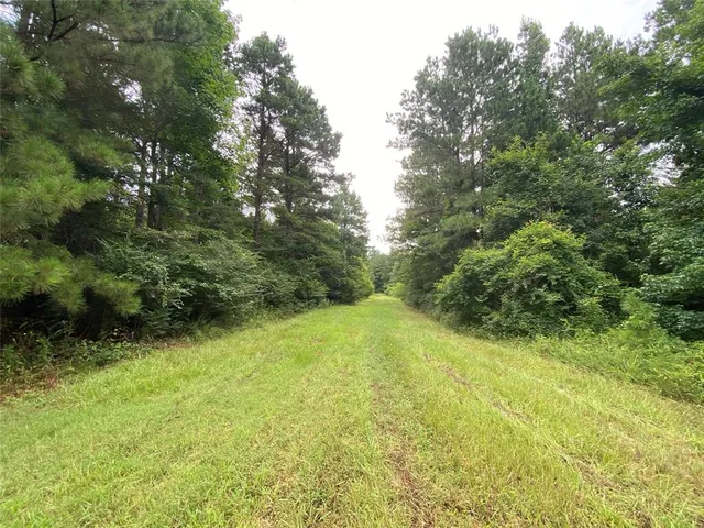a view of a house with a yard and a tree