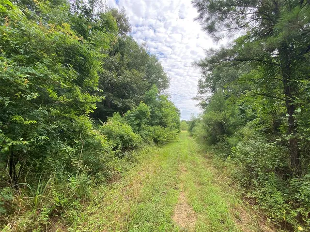 a view of a lush green space with sea
