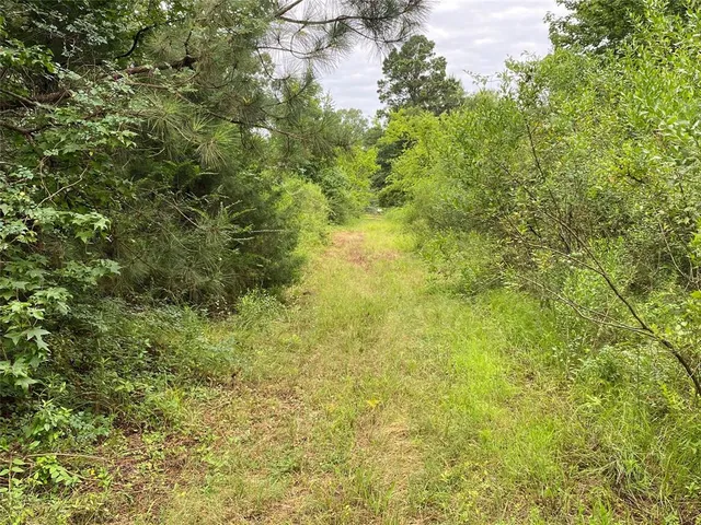 a view of a big yard with large trees