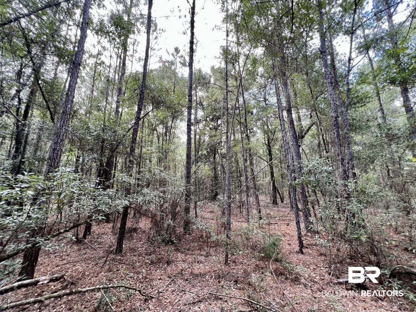 0 Bear Fork Road Mobile, AL 36618 - Photo 30 of 50