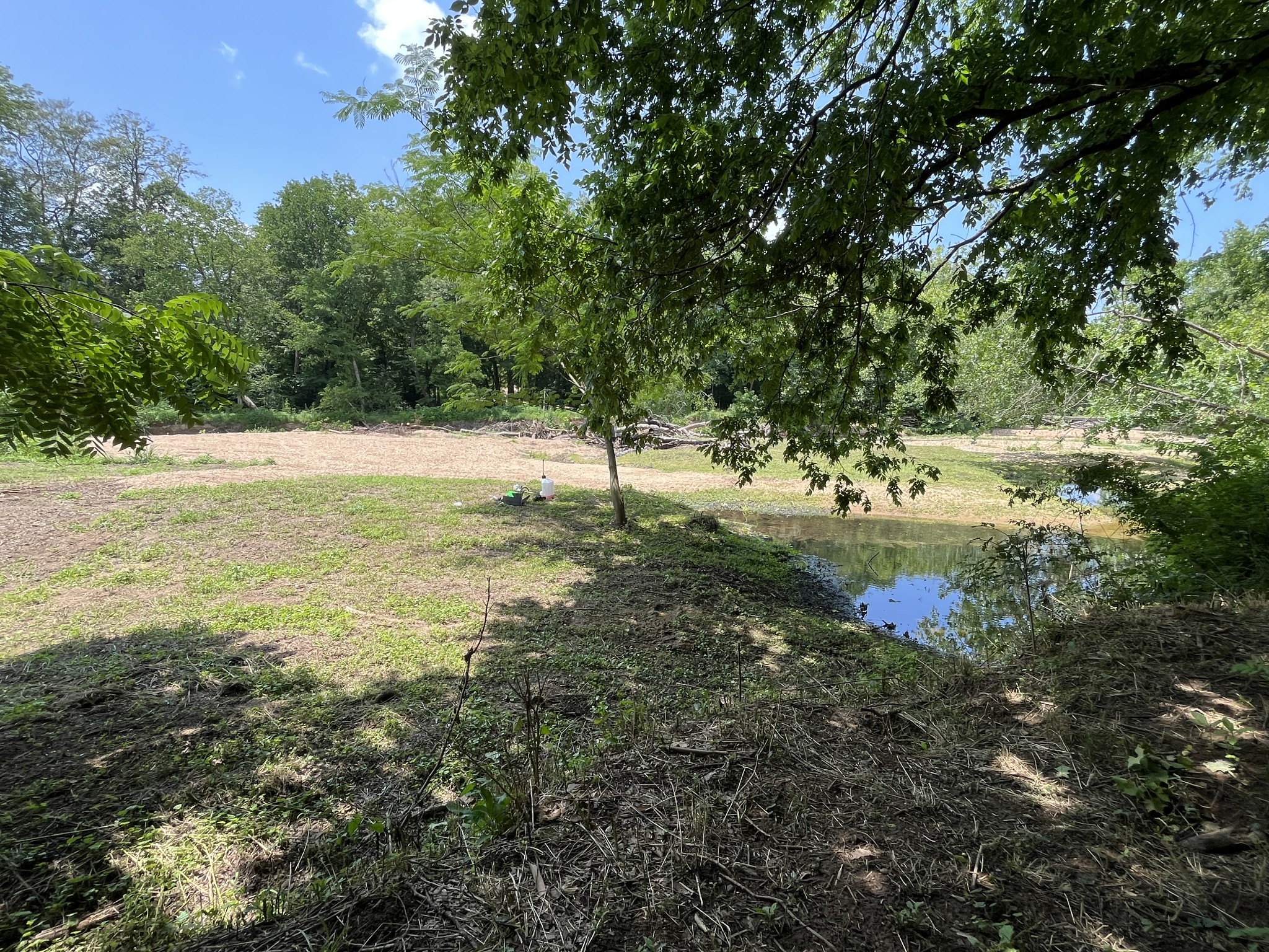 0 Alfred Ray Road Waynesboro, TN 38485 - Photo 11 of 14 a view of a lake view