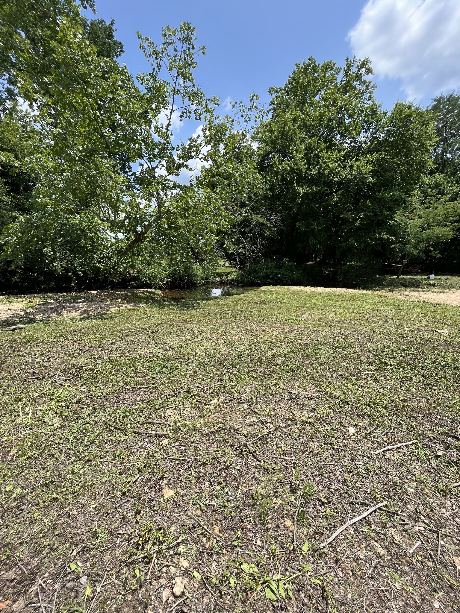 0 Alfred Ray Road Waynesboro, TN 38485 - Photo 12 of 14 a view of outdoor space and yard