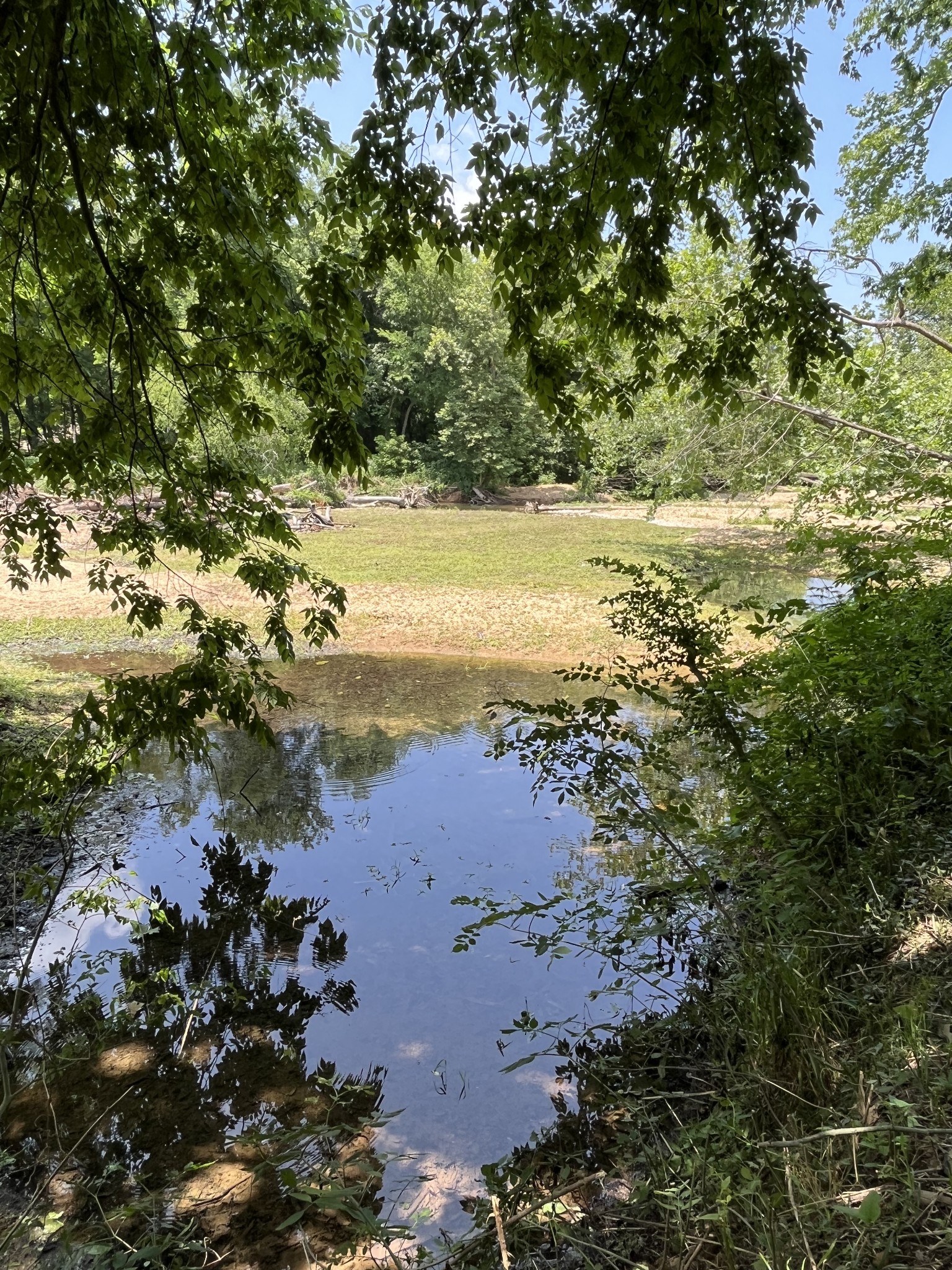 0 Alfred Ray Road Waynesboro, TN 38485 - Photo 13 of 14 a view of beach and ocean