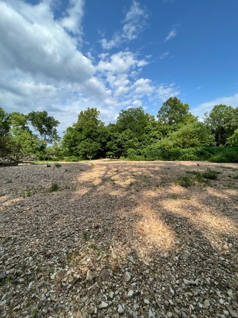 0 Alfred Ray Road Waynesboro, TN 38485 - Photo 2 of 14 a view of a field with plants and a lots of bushes