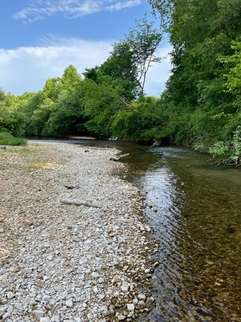 0 Alfred Ray Road Waynesboro, TN 38485 - Photo 4 of 14 a view of lake view with houses