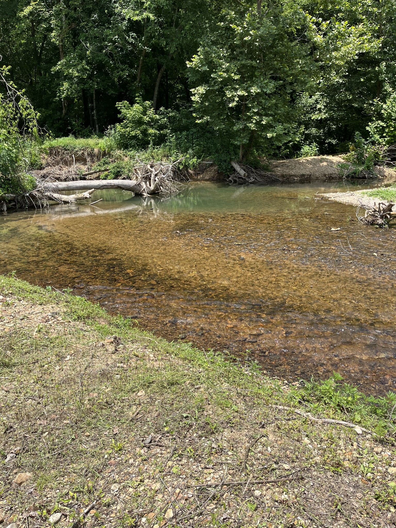 0 Alfred Ray Road Waynesboro, TN 38485 - Photo 9 of 14 a view of a lake view