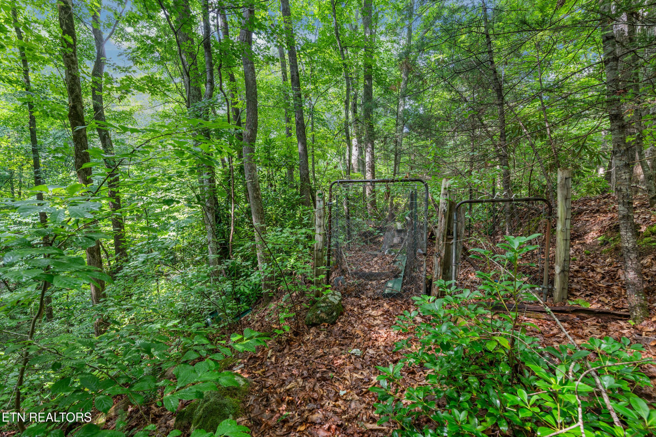 1941 Anderson Way Sevierville, TN 37876 - Photo 36 of 37 1941 anderson way-36