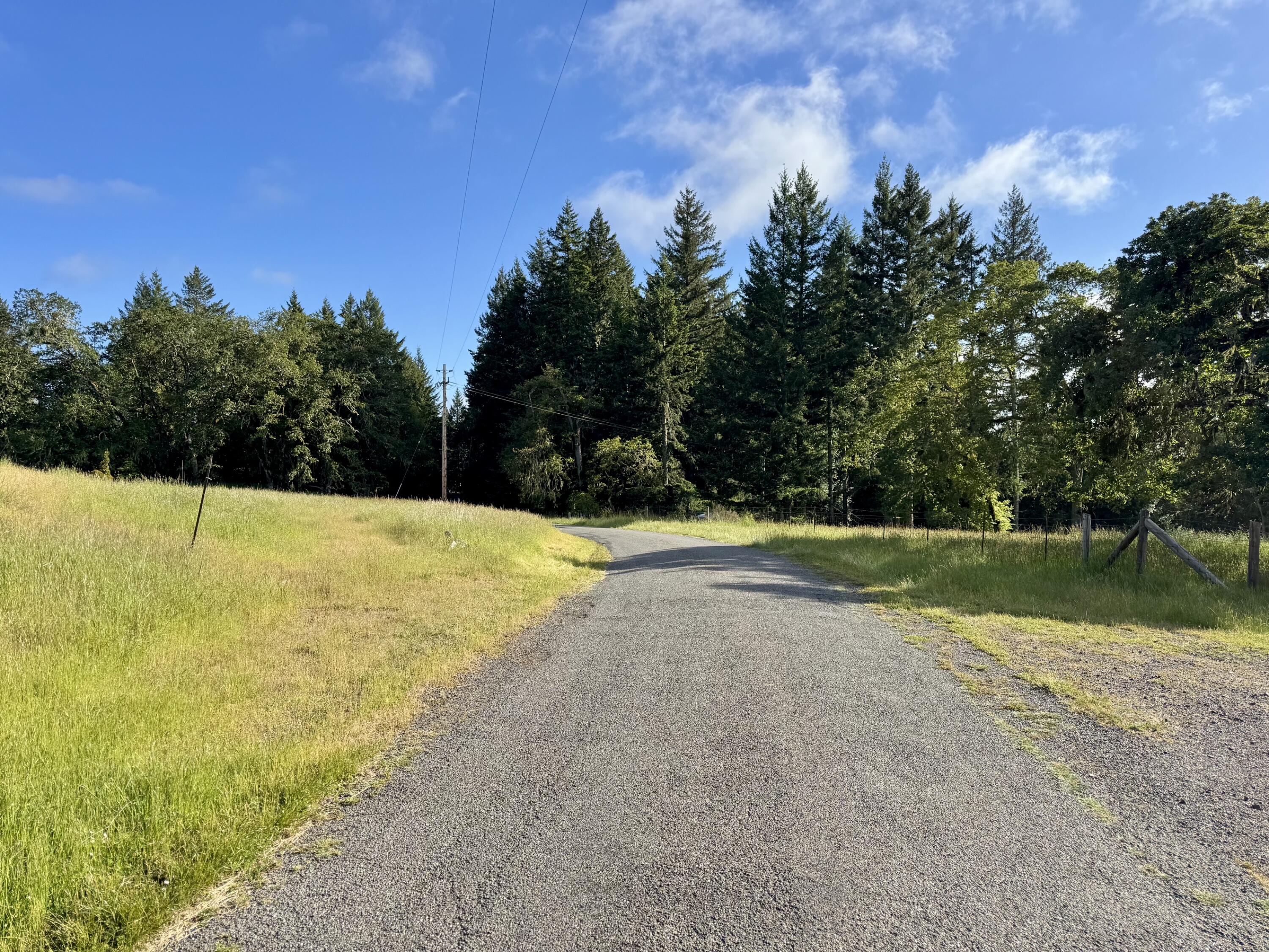 1460 Tim Mullen Road Kneeland, CA 95549 - Photo 31 of 93