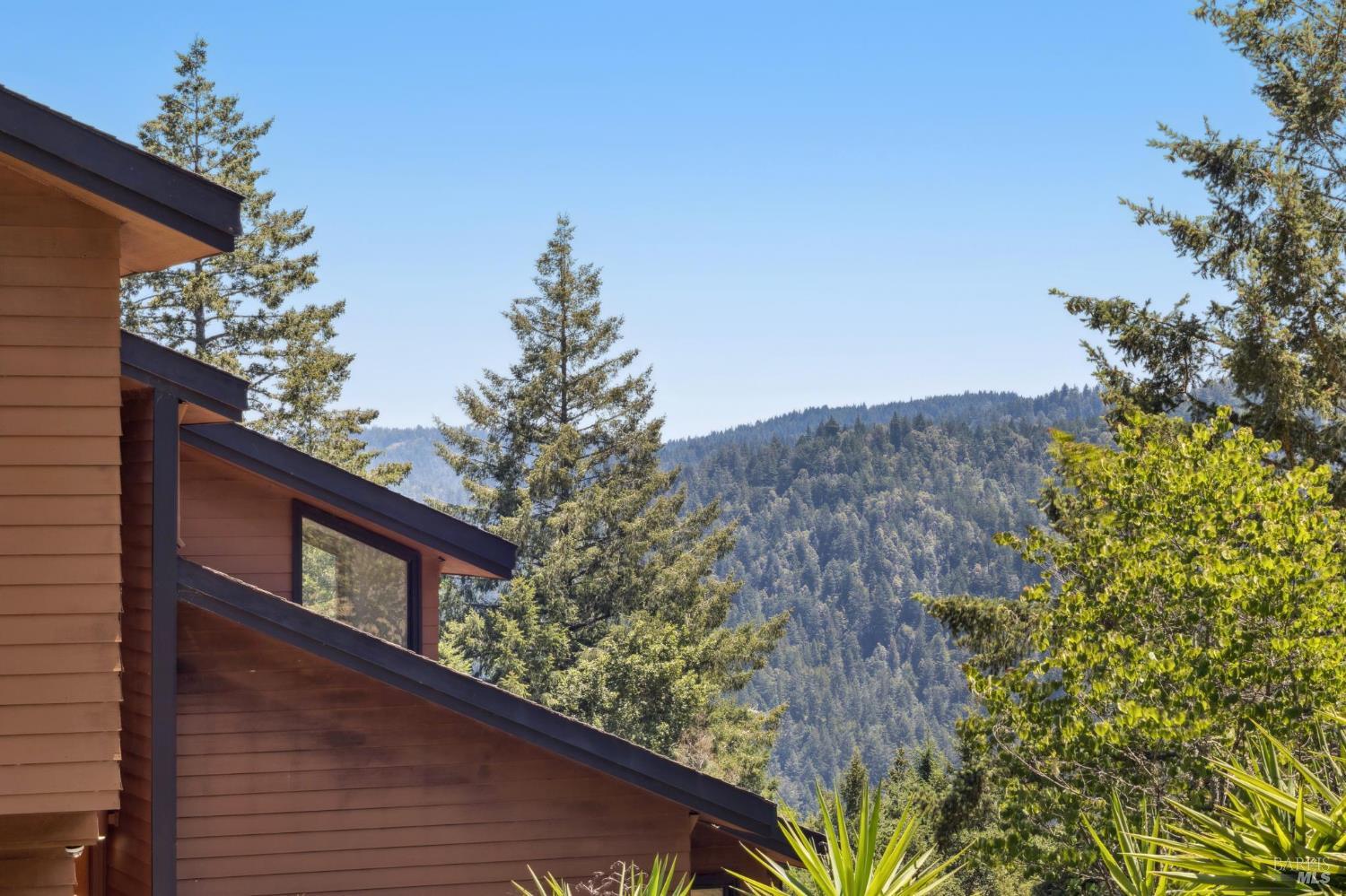 21540 Siri Road Guerneville, CA 95446 - Photo 3 of 99